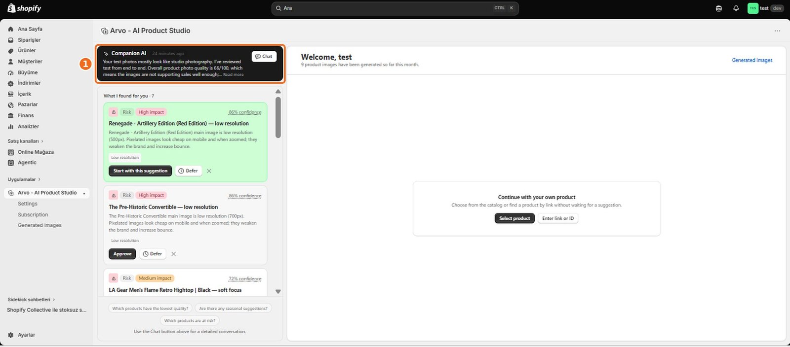 How does Companion AI analyze my store?  – screenshot