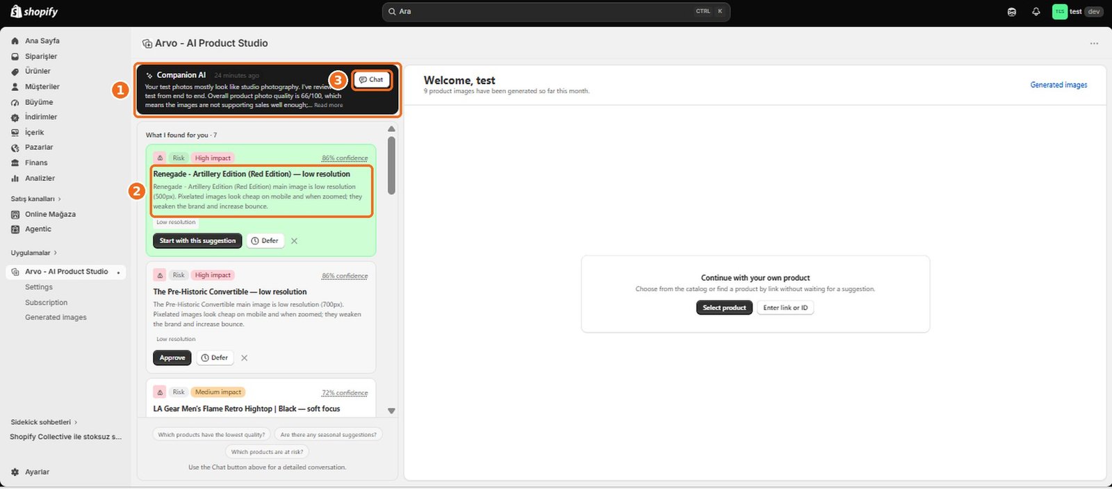 What is Companion AI?  – screenshot
